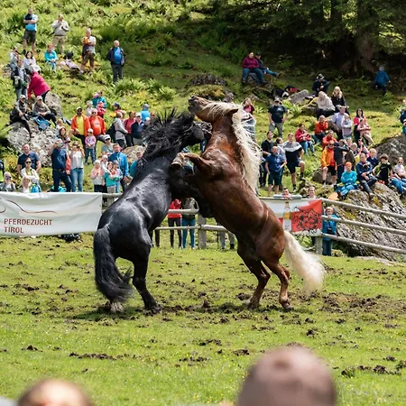 Hornblick Appartement
